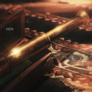 重生士兵的雌性征服日志
