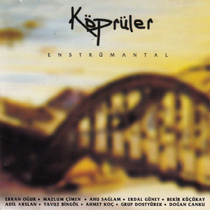 重生士兵的雌性征服日志
