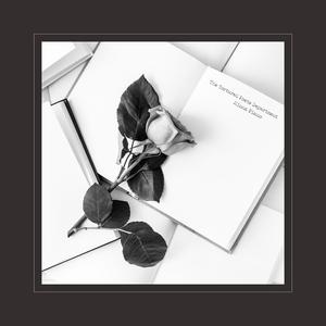 重生士兵的雌性征服日志
